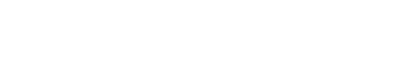 Velocix Logo White PNG